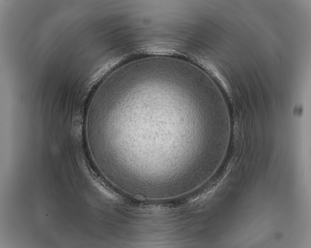 X0000091230533200708161718