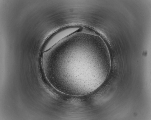 X0000091230535200708161718