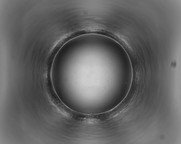 X0000091230539200708161718