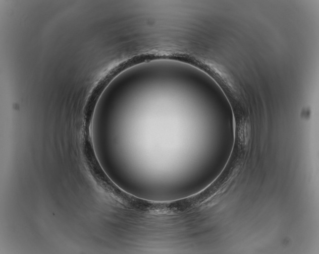 X0000091230540200708161718