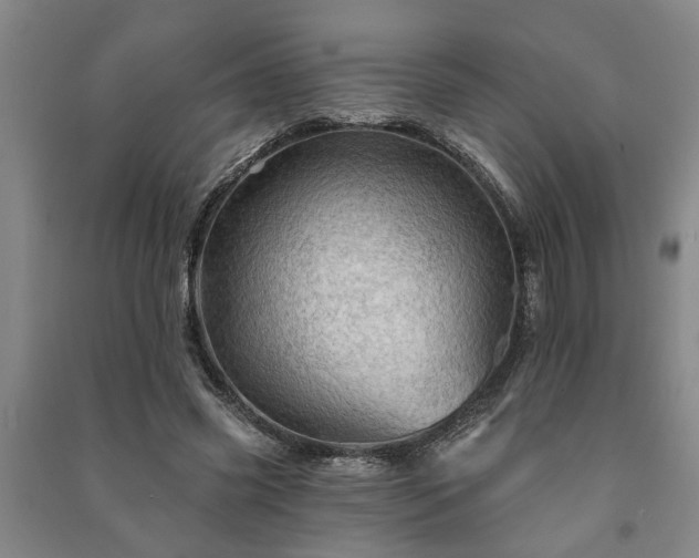 X0000091230541200708161718