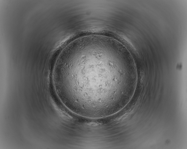 X0000091230542200708161718