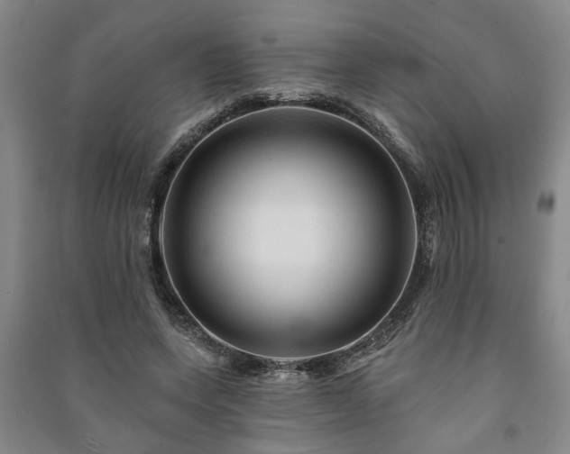 X0000091230543200708161718