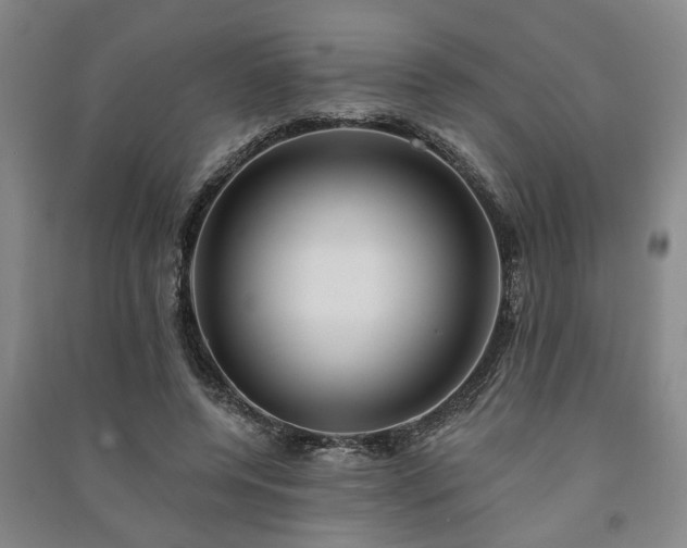 X0000091230544200708161718
