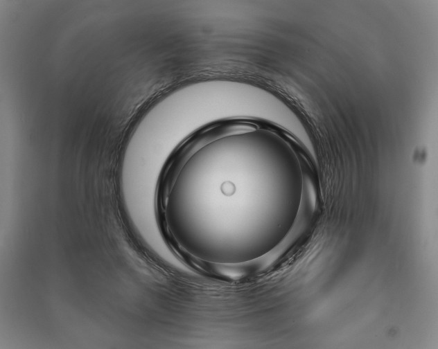 X0000091230546200708161718