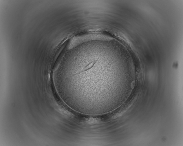 X0000091230549200708161718