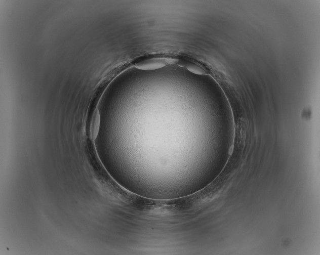 X0000091230550200708161718