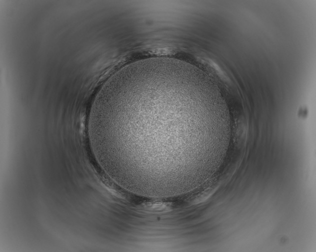 X0000091230553200708161718