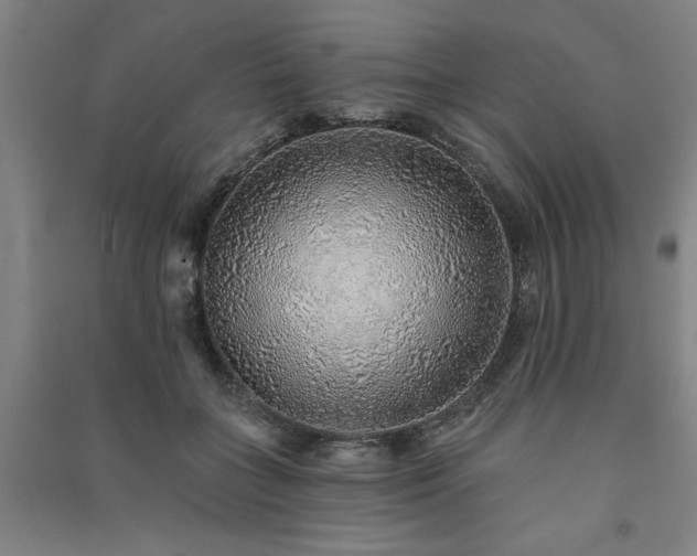 X0000091230555200708161718