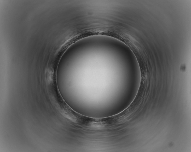 X0000091230556200708161718