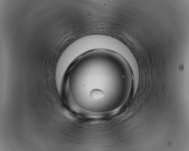 X0000091230558200708161718