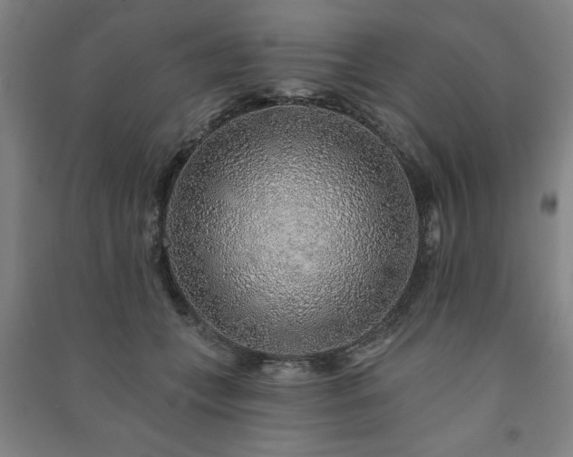 X0000091230559200708161718