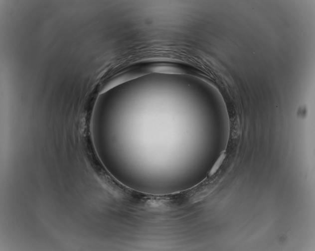 X0000091230560200708161719