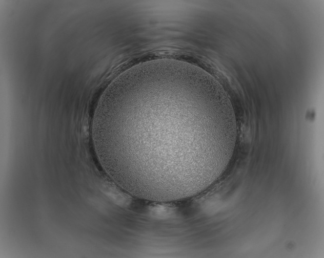 X0000091230561200708161719