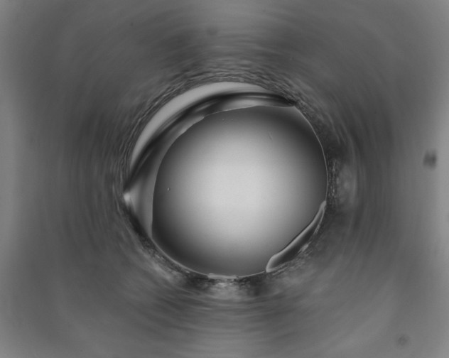 X0000091230562200708161719