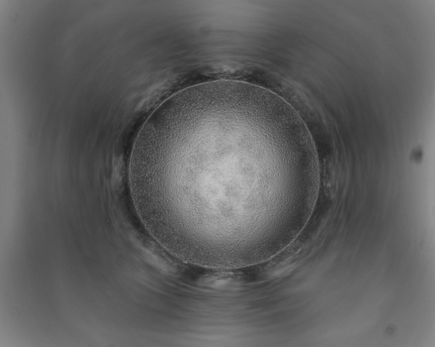 X0000091230563200708161719