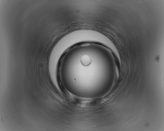 X0000091230564200708161719