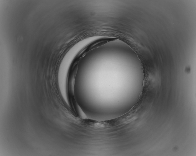 X0000091230566200708161719