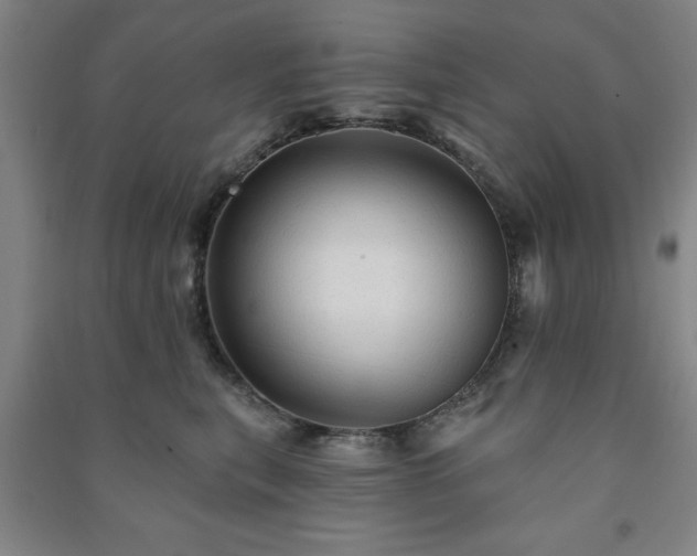 X0000091230567200708161719