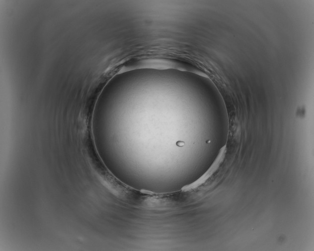 X0000091230568200708161719
