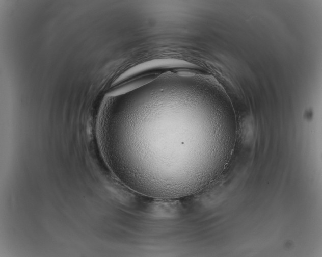 X0000091230571200708161719