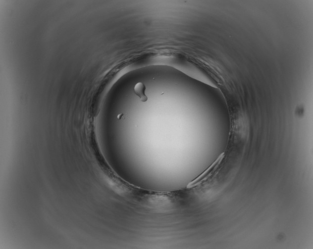 X0000091230572200708161719