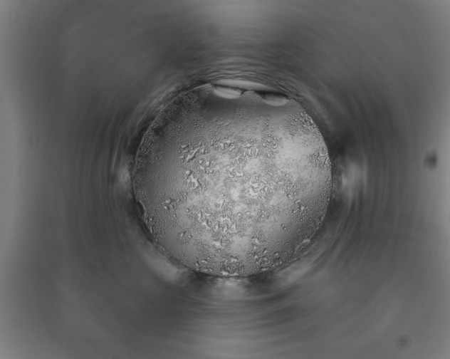 X0000091230573200708161719