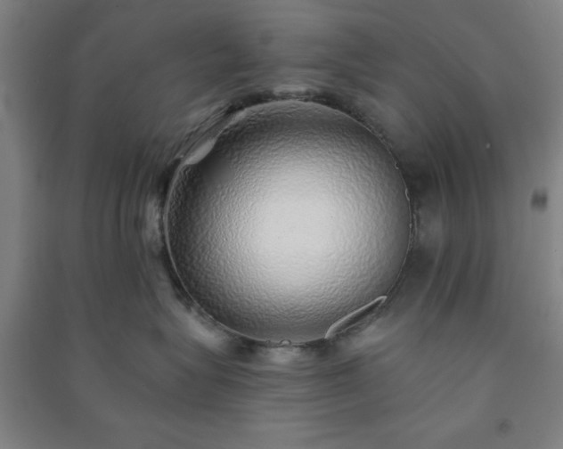 X0000091230575200708161719