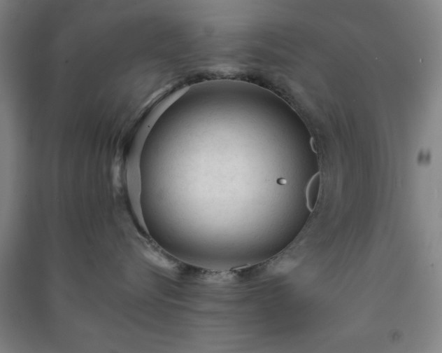 X0000091230576200708161719