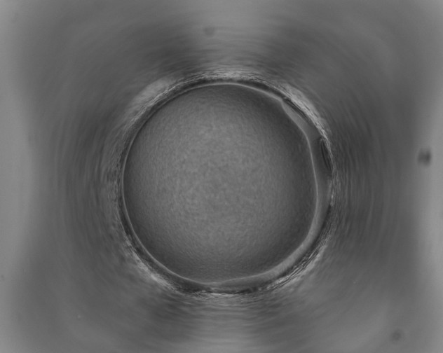X0000091230577200708161718