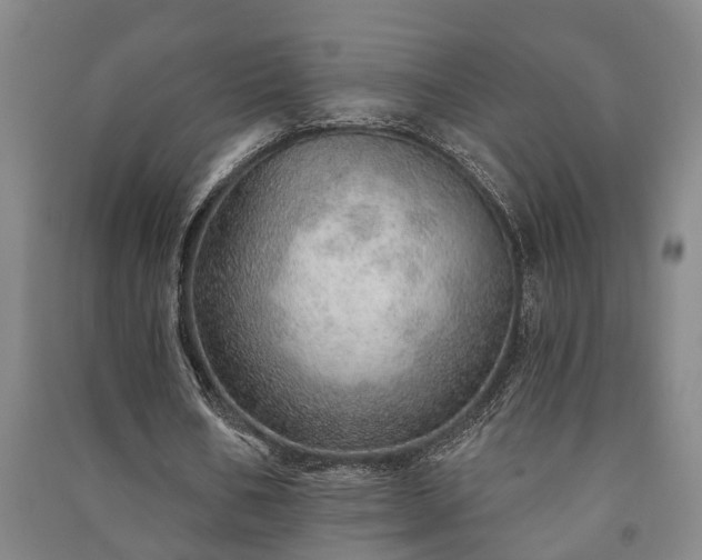 X0000091230578200708161718