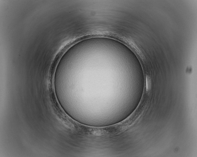 X0000091230579200708161718
