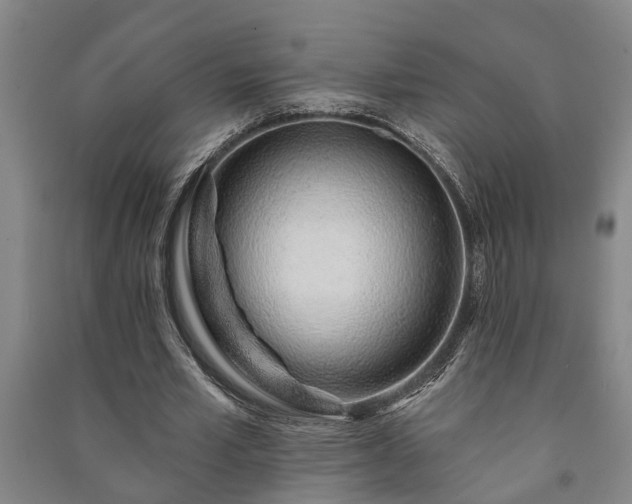 X0000091230581200708161718