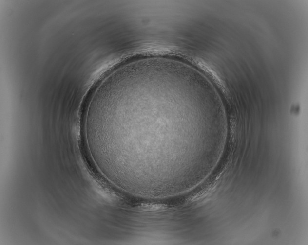 X0000091230582200708161718