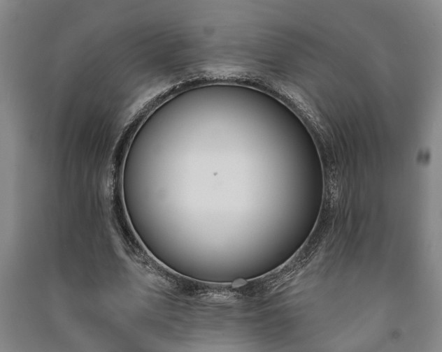 X0000091230583200708161718