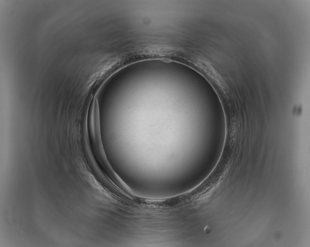 X0000091230585200708161718