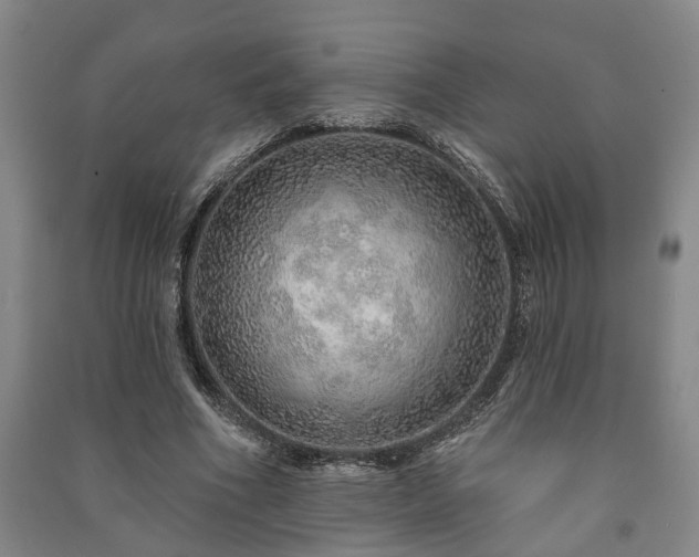X0000091230586200708161718