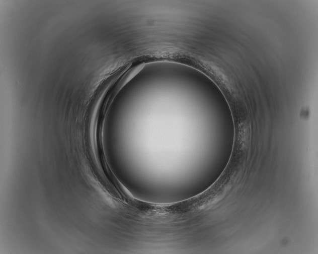 X0000091230589200708161718