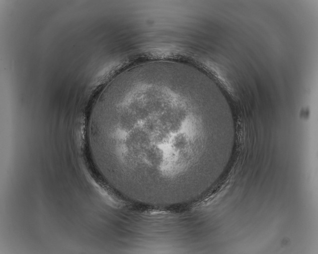 X0000091230590200708161718