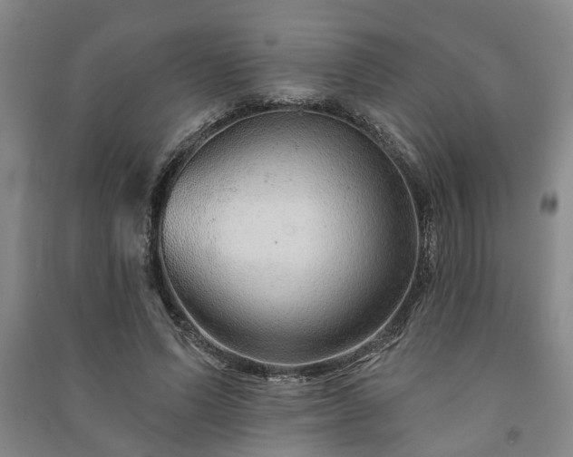 X0000091230591200708161718