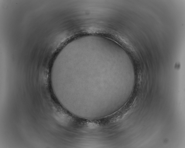 X0000091230592200708161718