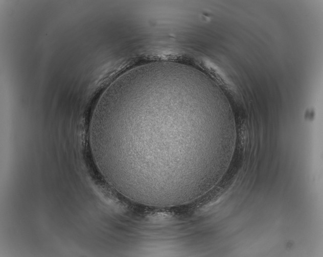 X0000091230594200708161718