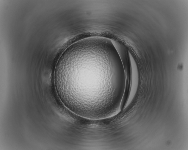 X0000091230596200708161718