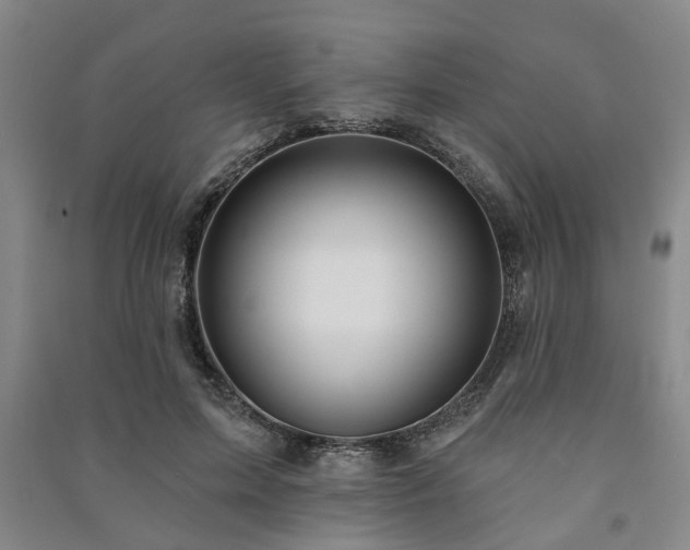 X0000091230599200708161718
