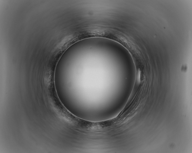 X0000091230600200708161718