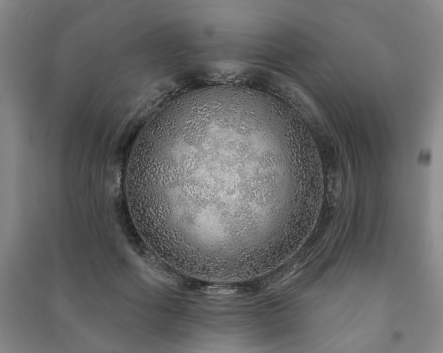 X0000091230602200708161718