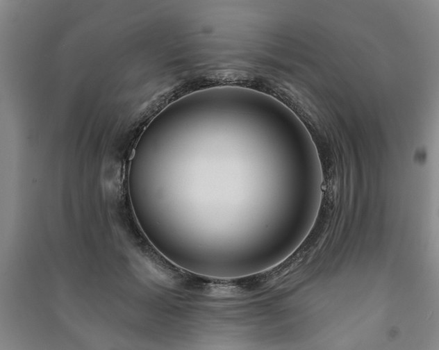 X0000091230605200708161718