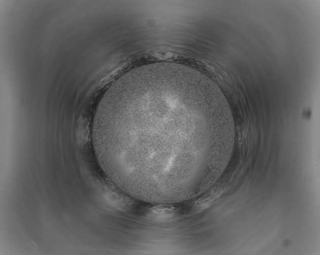 X0000091230606200708161718