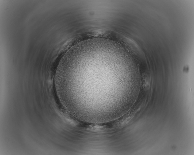 X0000091230607200708161718