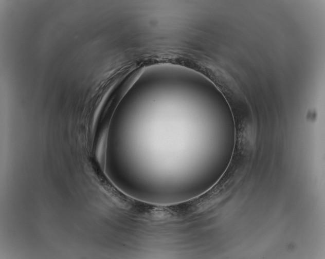 X0000091230608200708161718